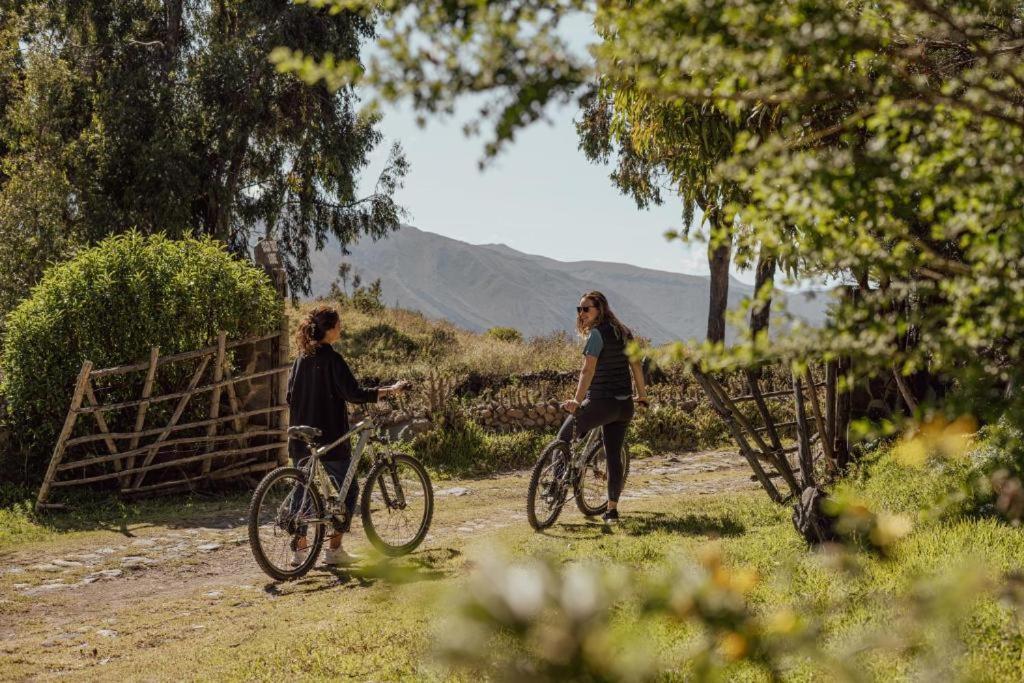 Colca Trek Lodge Best Experience Pinchollo Zewnętrze zdjęcie